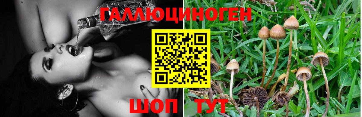 Псилоцибиновые грибы Magic Shrooms Ефремов